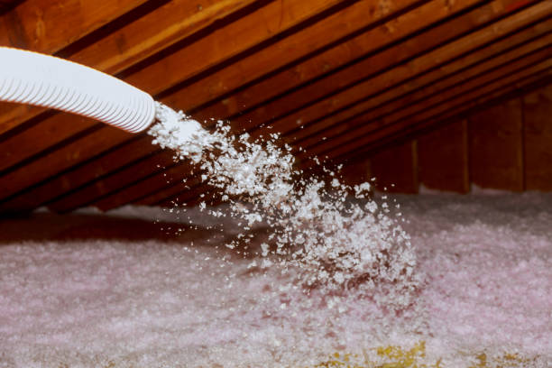 Best Home Insulation Services  in Elkland, PA