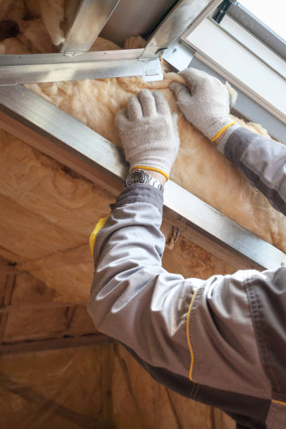 Best Spray Foam Insulation  in Elkland, PA