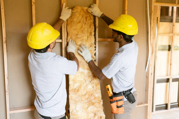 Best Blown-in Insulation  in Elkland, PA