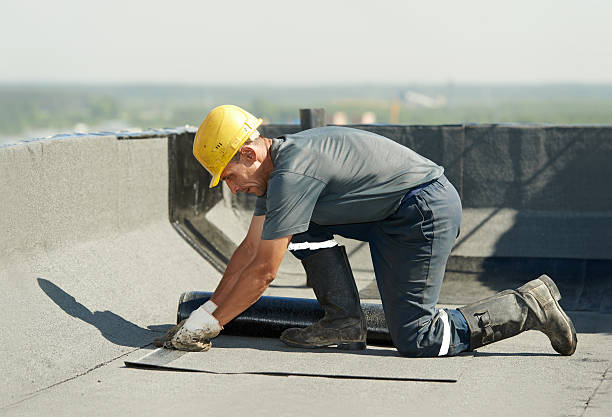 Best Insulation Repair Services  in Elkland, PA