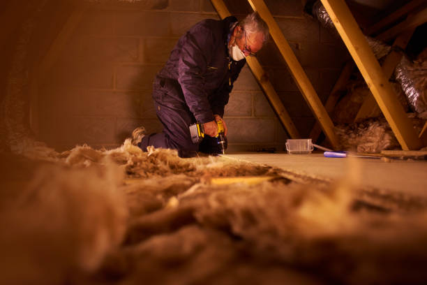 Best Spray Foam Insulation  in Elkland, PA